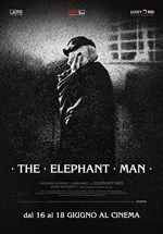 ELEPHANT MAN - V.O.S.