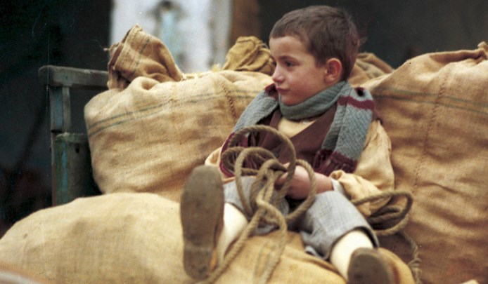 eventi speciali: anteprime, documentari, incontri